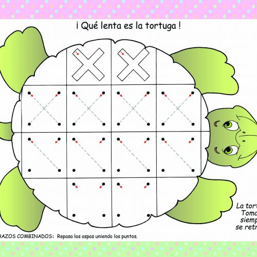 Escritura tortuga - Coquito Store